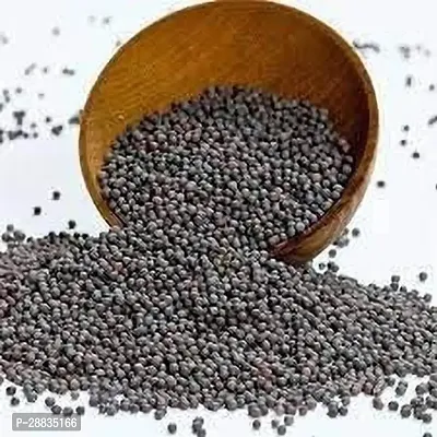 Baishnab Muswtard seed 50gm mcV 150100PIECE