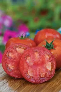 Baishnab Earth Seeds P202TOMATO3102PIECE-thumb2