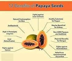 Baishnab Papaya hbjuhgreen berry papaya seed hybrid f1 Seed500PIECE-thumb1