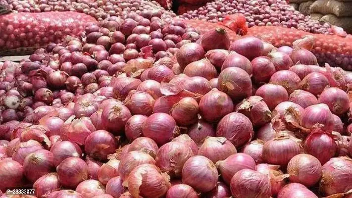 Baishnab Onion Seed 14 Ps.XR 207914PIECE