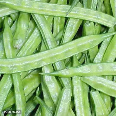 Baishnab Bean seed 15 per packetKD 111615PIECE-thumb0