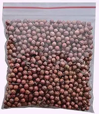 Baishnab Earth Seeds P213Coriander261000PIECE-thumb1