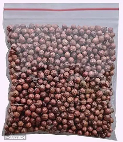 Baishnab Earth Seeds P213Coriander261000PIECE-thumb2