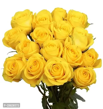 Baishnab  roseyellow Rose Plant-thumb0