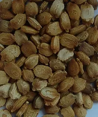 Baishnab Bittergourd seed 120 per packet Bitter Gourd Organic F1 Hybrid Seeds120PIECE-thumb1