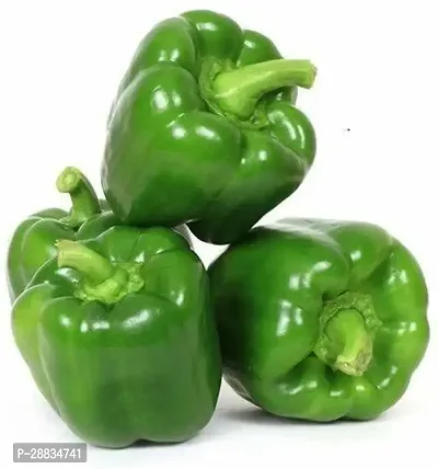 Baishnab capsicum seed jklgCapsicum Annuum Solanaceae Seeds1000PIECE