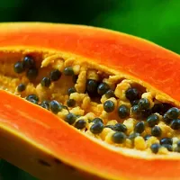 Baishnab Papaya seed 25ps mc jjP papaya a751025PIECE-thumb1