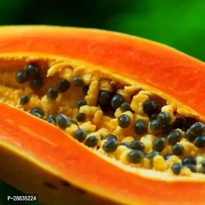 Baishnab Papaya seed 25ps mc jjP papaya a751025PIECE-thumb2