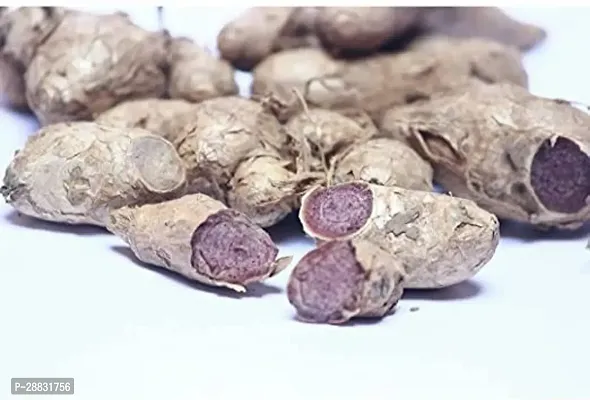 Baishnab Black ginger 250gm mc thblack ginger Tai Ginseng Rhizomes Krachai Dum Kaempferia Parviflora Seed250PIECE