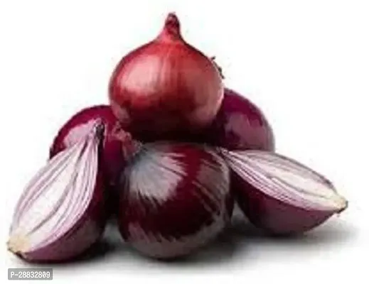 Baishnab Onion Seed  10 ps26RD ONIN 0410PIECE