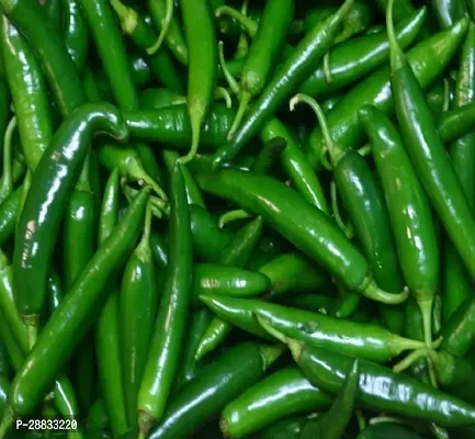 Baishnab Chili seed gt 150sedCW46 CHILLI MIRCHI HYBRID SEED150PIECE-thumb0