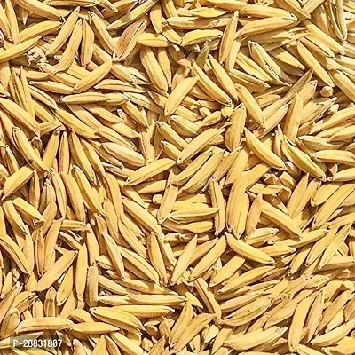 Baishnab basmati paddy seeds 500gm asA2021AN11PIECE