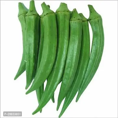 Baishnab Earth Seeds P211BHINDI11100PIECE-thumb0