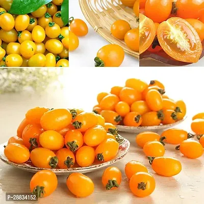 Baishnab tomato seed 100 ps vgt Yellow Tomato Seeds100PIECE-thumb0