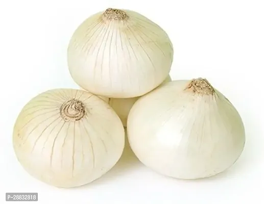 Baishnab Onion Seed 34. PsXR 220934PIECE