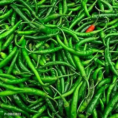 Baishnab Earth Seeds P50Chilli Seeds 24100PIECE-thumb0