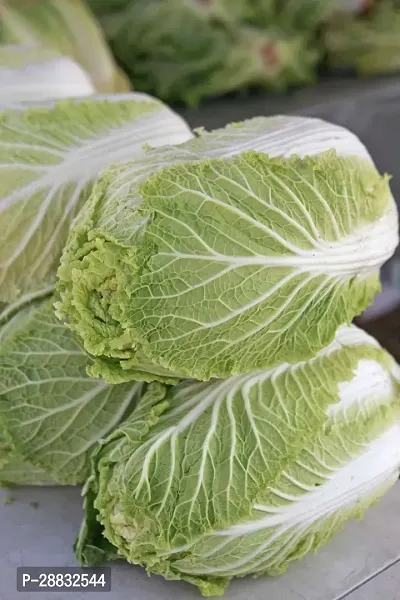 Baishnab Cabbage Seed 39 PsXR 257939PIECE