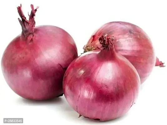 Baishnab Earth Seeds P97ONION21100PIECE-thumb0