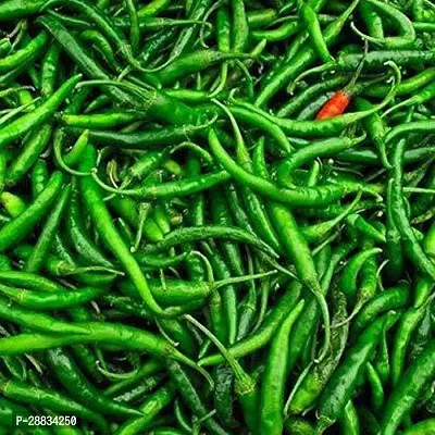 Baishnab chilli seed 120 ps mdeOrganic Desi Chilli G4 Seeds120PIECE-thumb0