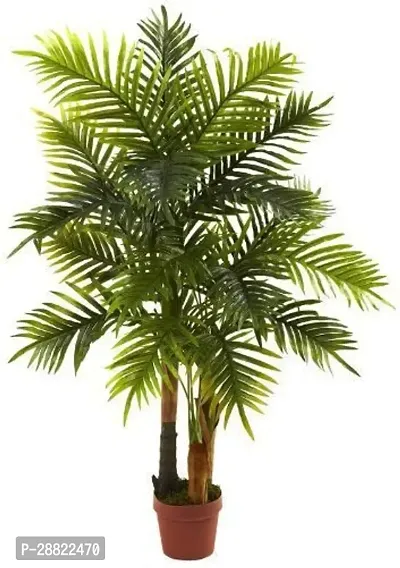 Baishnab  MNNT126s Areca Plam-thumb0