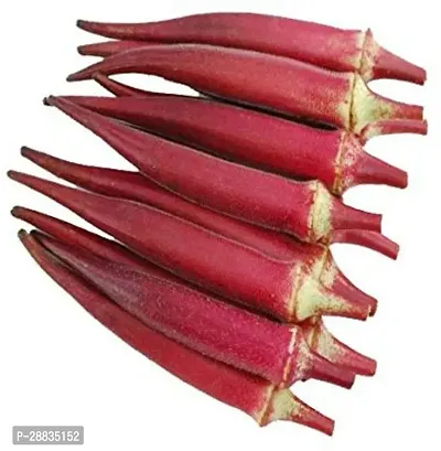 Baishnab Seed 500per packet XF262500 Red Okra 2942500PIECE-thumb0