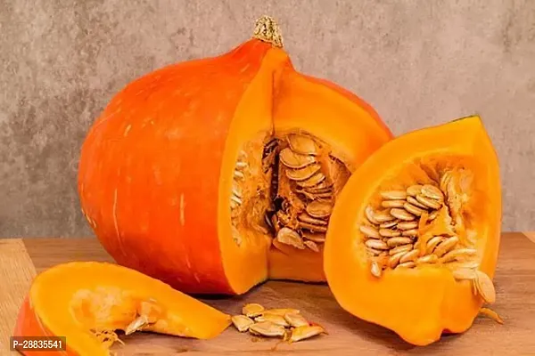 Baishnab Pumpkin seed 1000 ps mc1000 Seeds 2114 KL ClQ1000PIECE