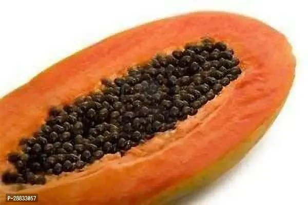 Baishnab PAPAYA SEED NJHKGREEN BERRY F1 HYBRIDE PAPAYA SEED5GRAM SEEDS24PIECE-thumb0