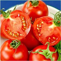 Baishnab seed 12Tomato Seed150PIECE-thumb1