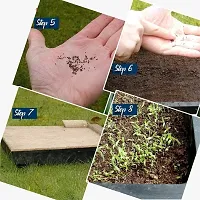 Baishnab vhindi sed 250 ps bhhOkra Seeds Ladyfinger Bhindi Vegetable Gardening Seeds For Planting OS6250PIECE-thumb3