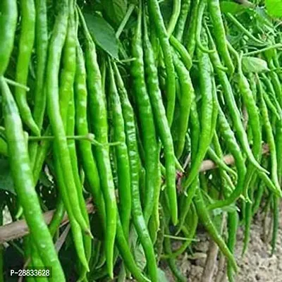 Baishnab Green Chili 20psCHILLI HOT GREEN ZAKSCO VEG SEEDSV2320PIECE