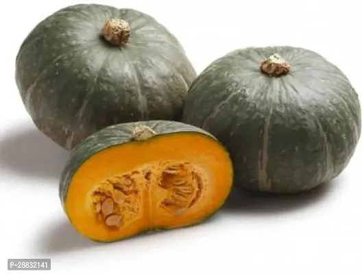 Baishnab Pumpkin Seed 20 psGreen Pumpkin F1 Hybrid Imported Vegetable Seeds20PIECE