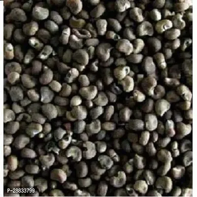 Baishnab Earth Seeds P198BHINDI63100PIECE-thumb2