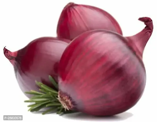 Baishnab Earth Seeds P233ONION32100PIECE