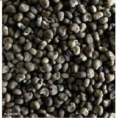 Baishnab Earth Seeds P119BHINDI35100PIECE-thumb2