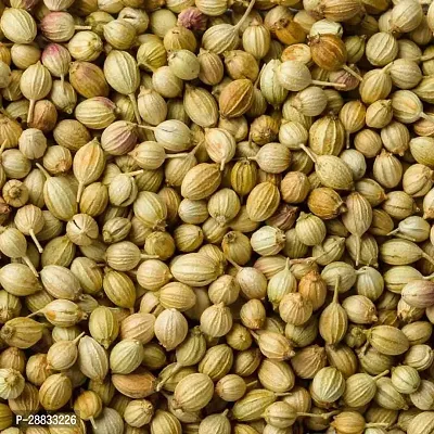 Baishnab Earth Seeds P19Dhaniya seed Coriander Seeds For Planting200PIECE-thumb0