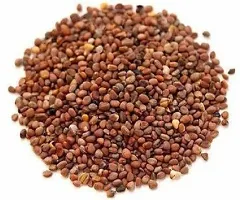 Baishnab SPL SEED 141Early Scarlet Gold radish seeds  200 mula200PIECE-thumb1