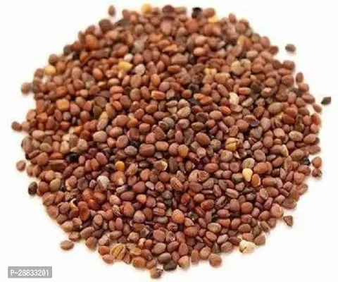 Baishnab SPL SEED 141Early Scarlet Gold radish seeds  200 mula200PIECE-thumb2