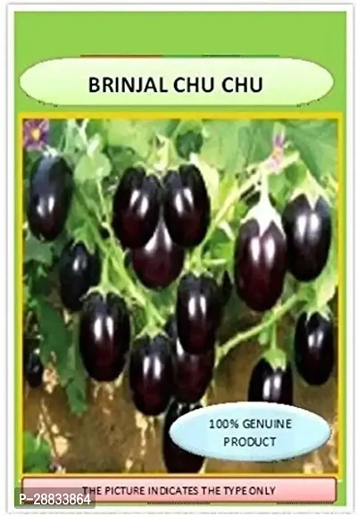 Baishnab Brinjal seed 250 per packetBRINJAL CHU CHU ORGANIC F1   HYBRID SEEDS250PIECE