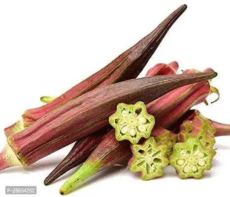 Baishnab vhindi sed 890ps hhuLady Finger Okra Seeds For Planting Burgandy Seeds LFS491890PIECE-thumb0