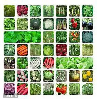 Baishnab 20 vegetable 30ps mc ghCooPany Combo 30 Variety Vegetable Seeds Pack Best Collection for Garden and Home Garden 17400+ Seeds Seed  17400 per packet30PIECE-thumb0