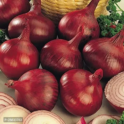 Baishnab Earth Seeds P37ONION57100PIECE-thumb0