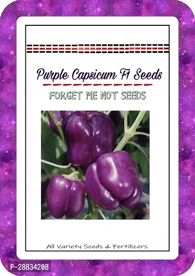 Baishnab capsicum seed mdcvbPurple Capsicum Pepper Seeds High Quality Hybrid Variety1000PIECE