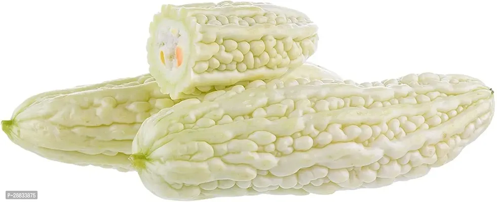 Baishnab Bittergourd seed 150 per packet jk Bitter Gourd F1 Hybrid White150PIECE