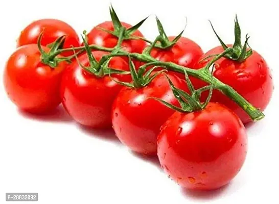 Baishnab Tomato seed 100psTomato Seeds100PIECE-thumb0