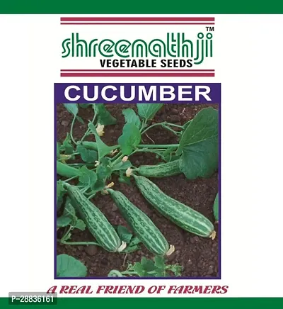 Baishnab cu sed 25 vps hyujCucumber 00725PIECE-thumb2