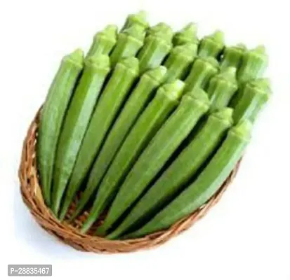 Baishnab Seed 100per packetXpl119100 Green Okra 893100PIECE