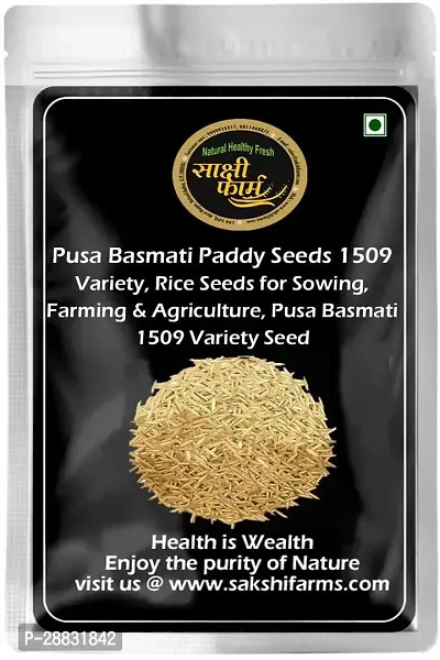 Baishnab basmati paddy seeds 5kg as.15905PIECE