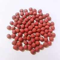 Baishnab Vandy seeds 50 per packetrbOkra Red Burgundy F1 Hybrid Vegetable Seeds   O385250PIECE-thumb2