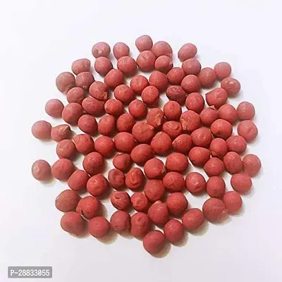 Baishnab Vandy seeds 50 per packetrbOkra Red Burgundy F1 Hybrid Vegetable Seeds   O385250PIECE-thumb3