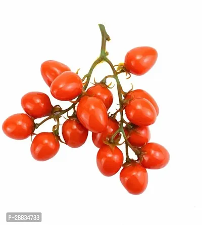 Baishnab tomato seed 100 ps rmF1 Hybrid TOMATO   Cherry   Seeds Gardeners Delight100PIECE